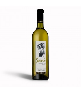 Sauvignon Blanc 2019 Alb Sec – Sani